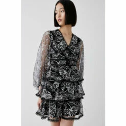 Coast Embroidered Mesh Tiered Mini Dress For Female