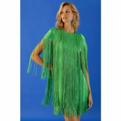 Coast Premium Statement Fringe Detail Mini Dress For Female