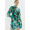 Coast 3d Floral Mesh Long Sleeve Mini Dress For Female