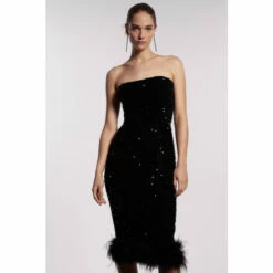 Coast Velvet Sequin Bandeau Pencil Dress For Female