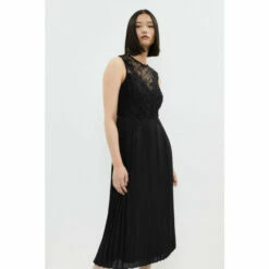 Coast Applique Eyelash Lace Pleat Dress For Female