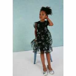 Coast Girls Organza Tiered Dress For Female