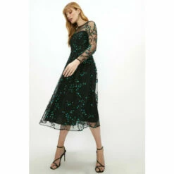 Coast Full Skirted Embroidered Mesh Dress For Female