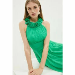 Coast 3d Floral Crinkle Chiffon Maxi Dress For Female