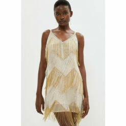 Coast Embellished Fringe Two Tone Mini Dress For Female