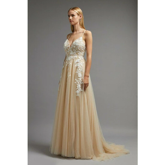 Coast Embroidered Cami Full Skirted Maxi Dress For Female - Image 2