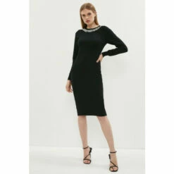 Coast Embellished Neck Trim Dress For Female