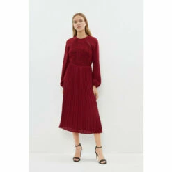 Coast Blouson Sleeve Lace Detail Pleat Skirt Dress For Female