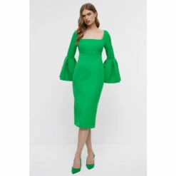 Coast Premium Full Sleeve Corset Bodice Pencil Dress For Female