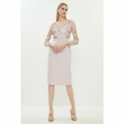 Coast Lace V Neck Pencil Dress For Female