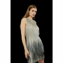 Coast Premium Rainbow Embellished Fringe Mini Dress For Female