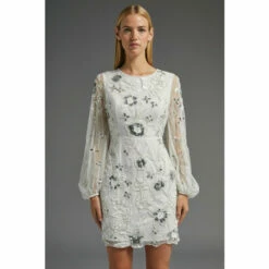 Coast Premium Floral Embellished Mini Dress For Female