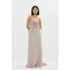 Coast Petite Cowl Neck Strappy Sequin Maxi Dress For Female