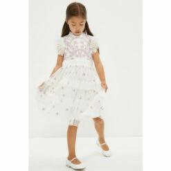 Coast Girls Embroidered Frill Dress For Female