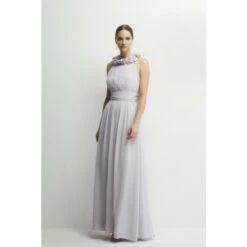 Coast 3d Floral Crinkle Chiffon Maxi Dress For Female